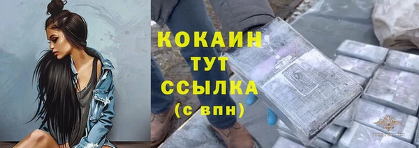 МДПВ Абаза