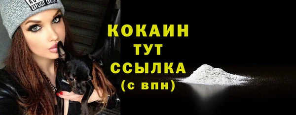 МДПВ Абаза