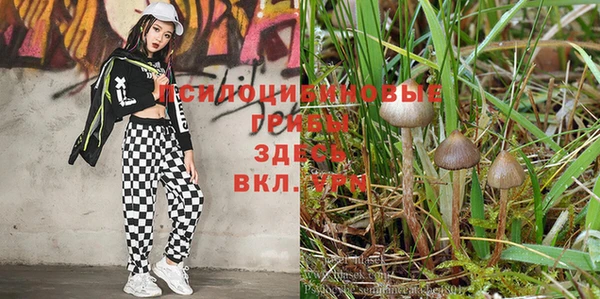 героин Алзамай