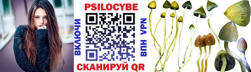 Галлюциногенные грибы ЛСД  где купить   Якутск 